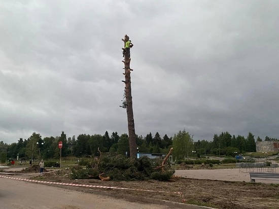 Возмущению жителей города  нет предела