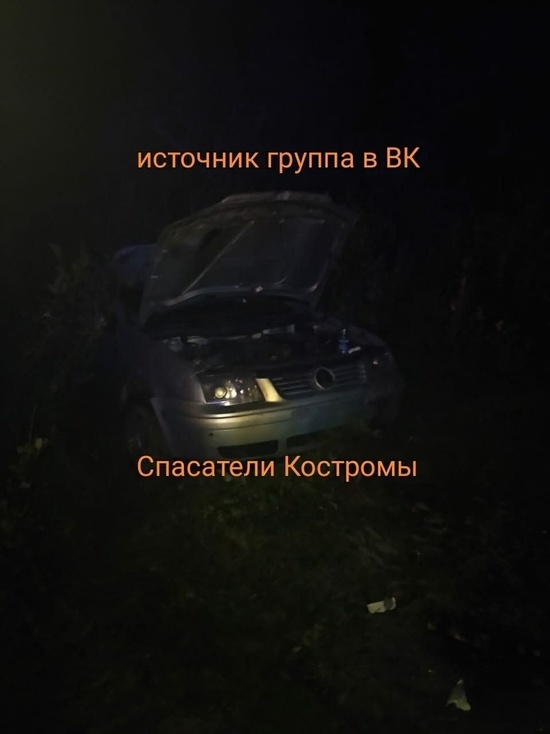 Костромские ДТП: лось против «Фольксвагена»