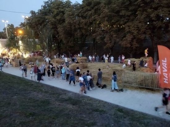 В Рязани сломали новый арт-объект на Лыбедском бульваре