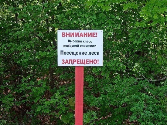 До 1 сентября в Серпухове ограничили посещение лесов