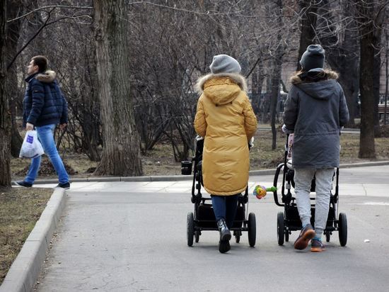 ПФР: за 6 месяцев 2022 года выплаты маткапитала сократились на 3,2 млрд рублей