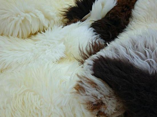 Глава РБ уверен, что «все условия в регионе есть»