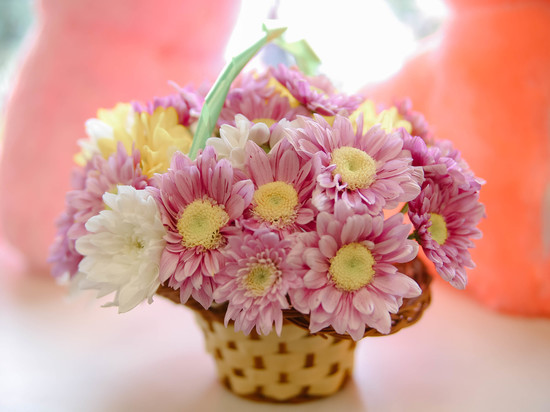 Цветы на 1 сентября в Хабаровске - выбираем вместе с «МК в Хабаровске»