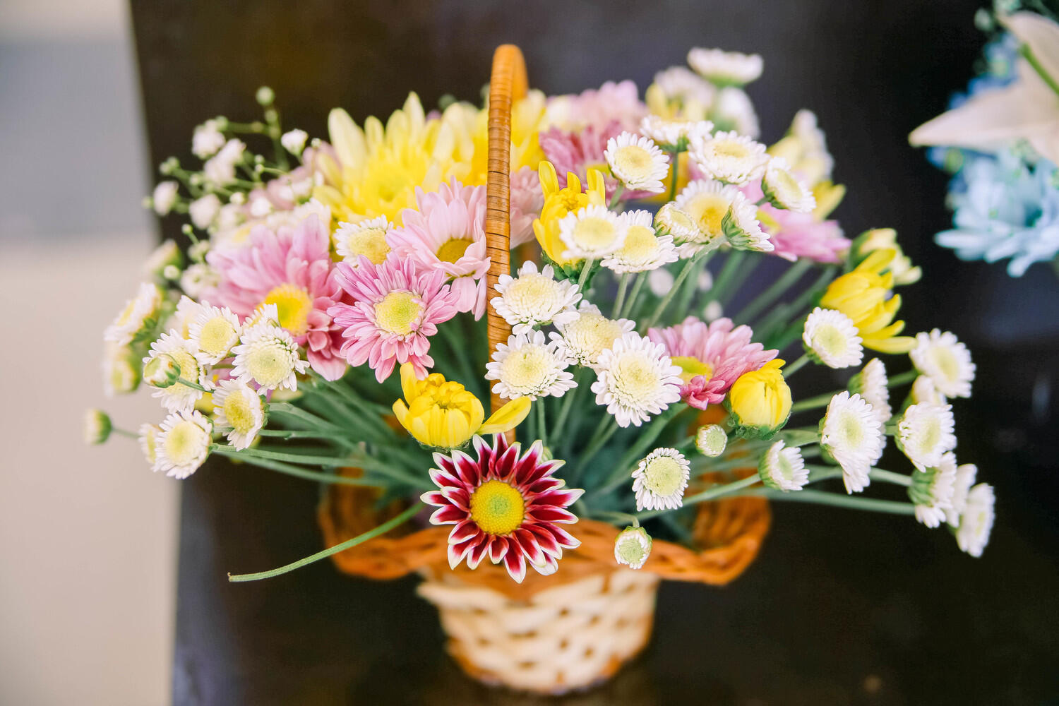 Выбираем букет на 1 сентября в Хабаровске: фото