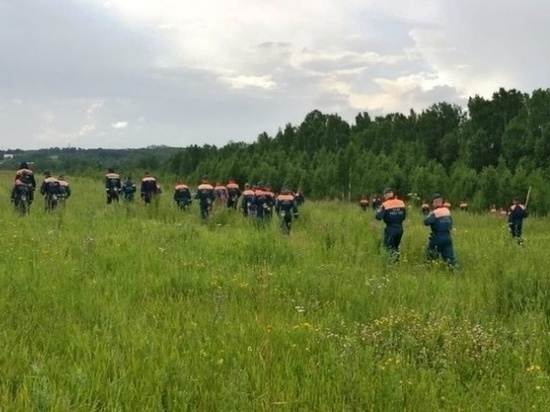 За неделю в лесах Новосибирской области потерялись пять человек