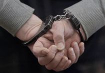 46-летнего подозреваемого, избившего и изнасиловавшего девятилетнюю школьницу в поселке Новоомском, задержали силовики