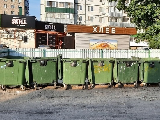 С начала августа с территории Тамбова вывезли почти 270 КАМАЗов мусора