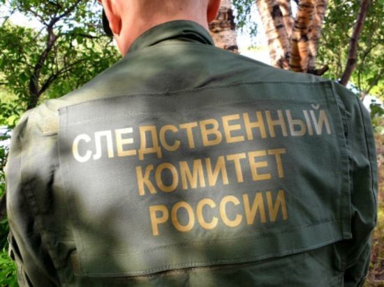 Следователи возбудили дело об убийстве малолетнего по причине пропажи мальчика в Кандалакшском районе