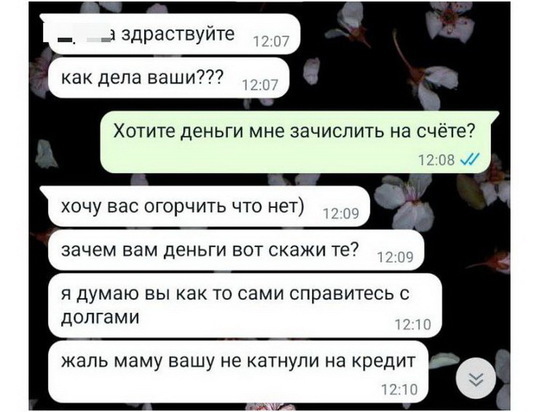 «Зачем вам деньги?» Мошенник продолжил общение с обманутой им жительницей Чебоксар