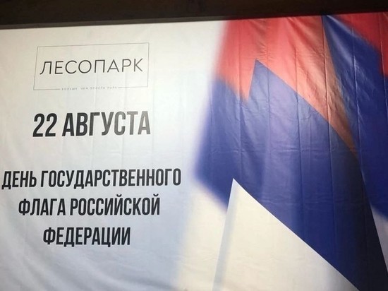 Малков жёстко высказался о ситуации с перепутанными цветами флага РФ в Рязани