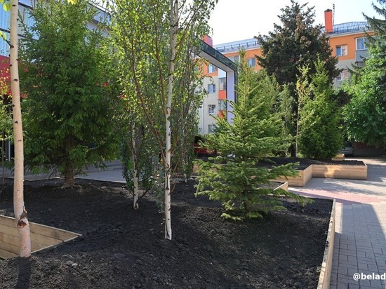 В Белгороде появится новый сад с символичным названием «Победа»