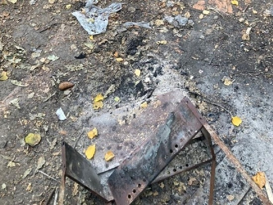 СК озвучил первые данные по найденному обгоревшему трупу в Обнинске