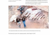Группа португальских и испанских исследователей эксгумировала скелет зауропода брахиозавра в Монте-Агудо
