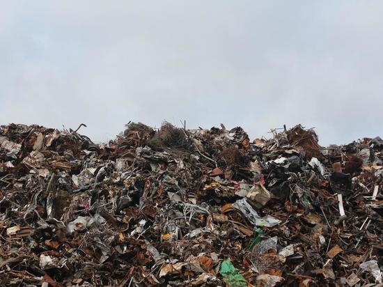 Новосибирцы провели пикет против строительства мусорного полигона в Плотниково