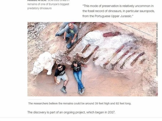 Группа португальских и испанских исследователей эксгумировала скелет зауропода брахиозавра в Монте-Агудо