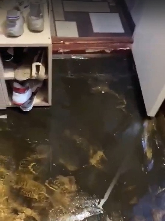 Коммунальная катастрофа: в Лабытнанги квартиру залило грязной водой и слизью