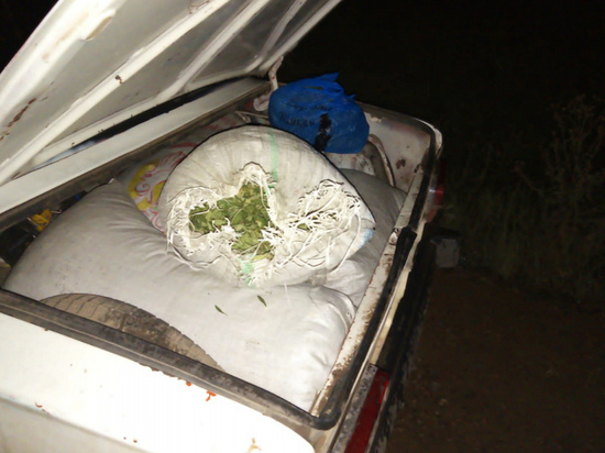 Почти 40 кг конопли нашли полицейские в «Жигулях» забайкальца