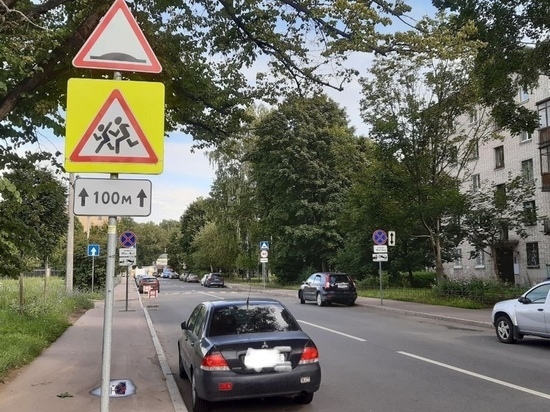 В преддверии учебного года петербуржцам напомнили о возрастании рисков ДТП с участием детей