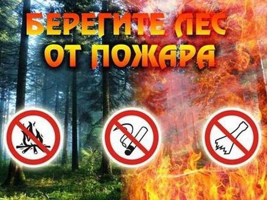 Саратовцам еще на 21 день продлили запрет на посещение леса