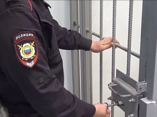 Работник органов опеки усыновил двух подростков для съемок детского порно в Петербурге
