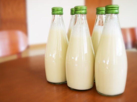 Новую линию переработки молока построят в Ленобласти