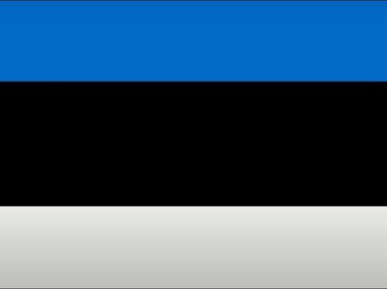 Эстония собралась запретить въезд большинству граждан России