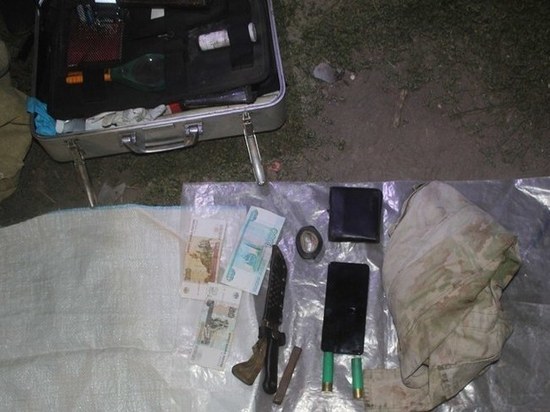 В алтайском селе браконьеры убили годовалого лосенка