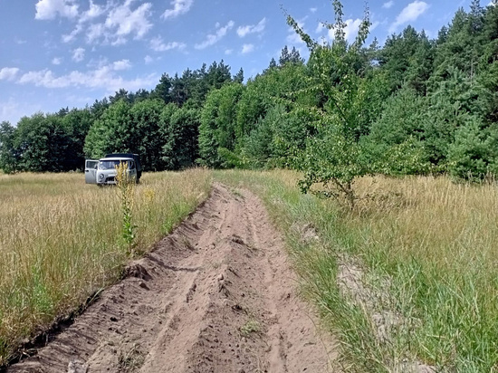 В лесах Курской области провели более 1600 патрулирований