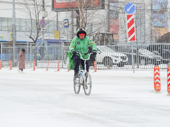 Тишковец рассказал, какой будет зима в Москве
