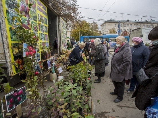 В Новосибирске 2 и 3 сентября будет работать ярмарка для садоводов