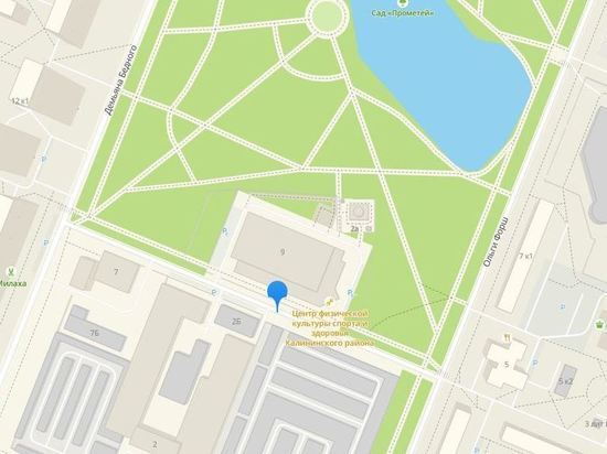 Проезд в Калининском районе Петербурге назвали в честь поэтессы Грудининой