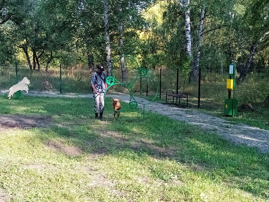 Площадка для выгула собак появилась в Ленинском районе Барнаула