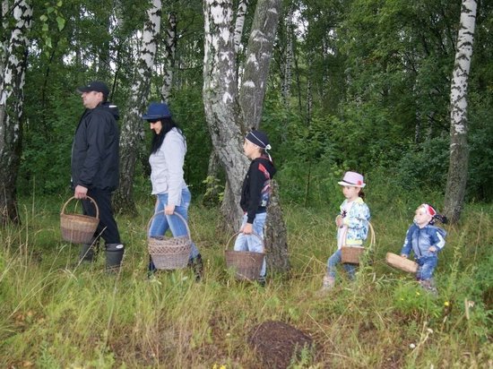 Пензенцам в преддверии грибного сезона рассказали о правилах безопасности в лесу