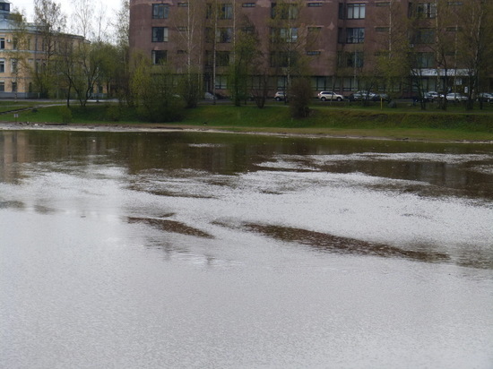 Уровень воды в Лососинке поднимается, Петрозаводск может подтопить