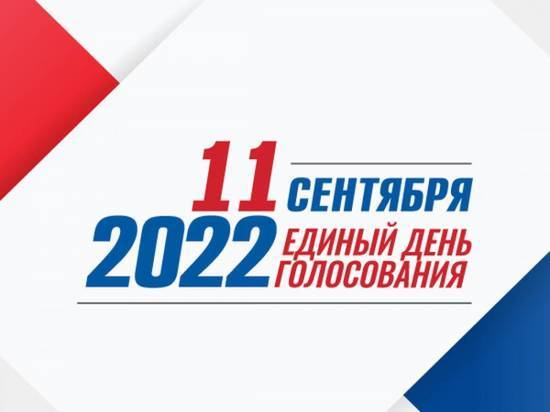 В Курске на выборах в Горсобрание четверо кандидатов открестились от депутатства