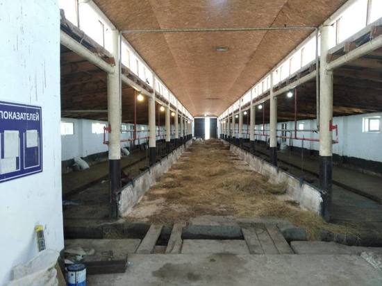 Главу фермерского хозяйства осудили в Дагестане за хищение 1.2 млн