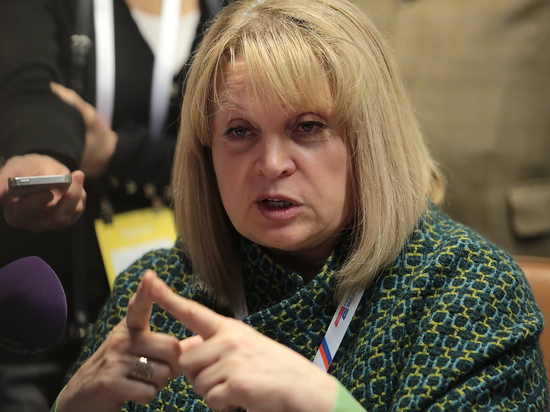 Памфилова призвала к бойкоту концертов артистов-"оборотней"