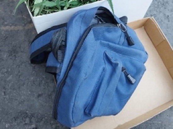 Молодого человека с рюкзаком марихуаны поймали в Орловской области