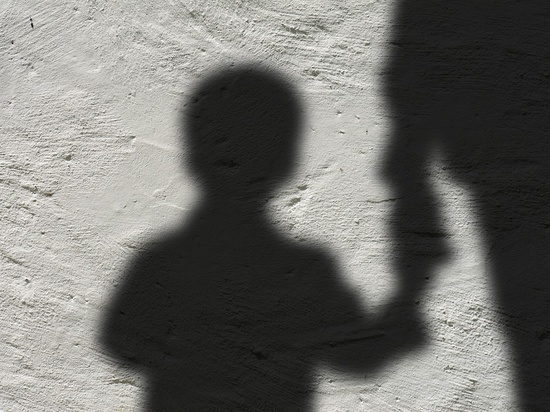  «Педофила – кастрировать, родителей – на исправительные работы»: омичи в шоке от истории с изнасилованием под Омском