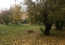 Местами по западным районам Забайкальского края 5 сентября ожидаются заморозки в воздухе и на поверхности почвы до 5 градусов
