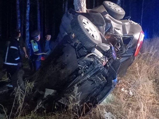 В Челябинской области водитель погиб после удара машины об дерево