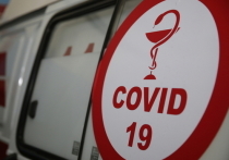 Тест на наличие COVID-19 сдали большинство работников образовательных организаций Забайкальского края, среди них выявлен только 1% заболевших коронавирусом