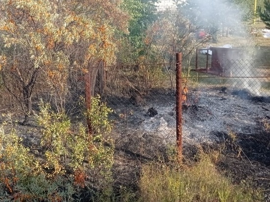 Под Новосибирском дачник устроил ландшафтный пожар