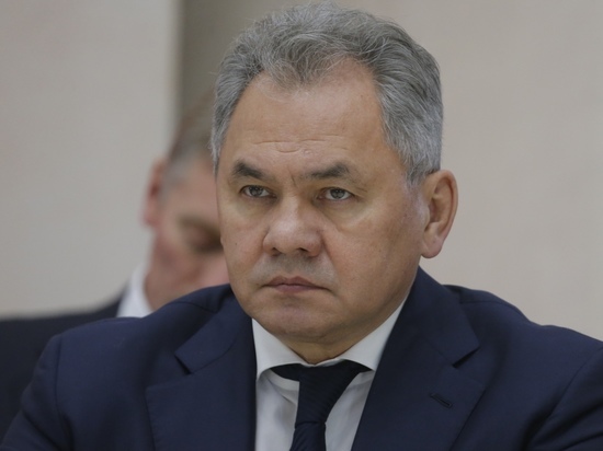 Шойгу назвал цель южного контрнаступления ВСУ