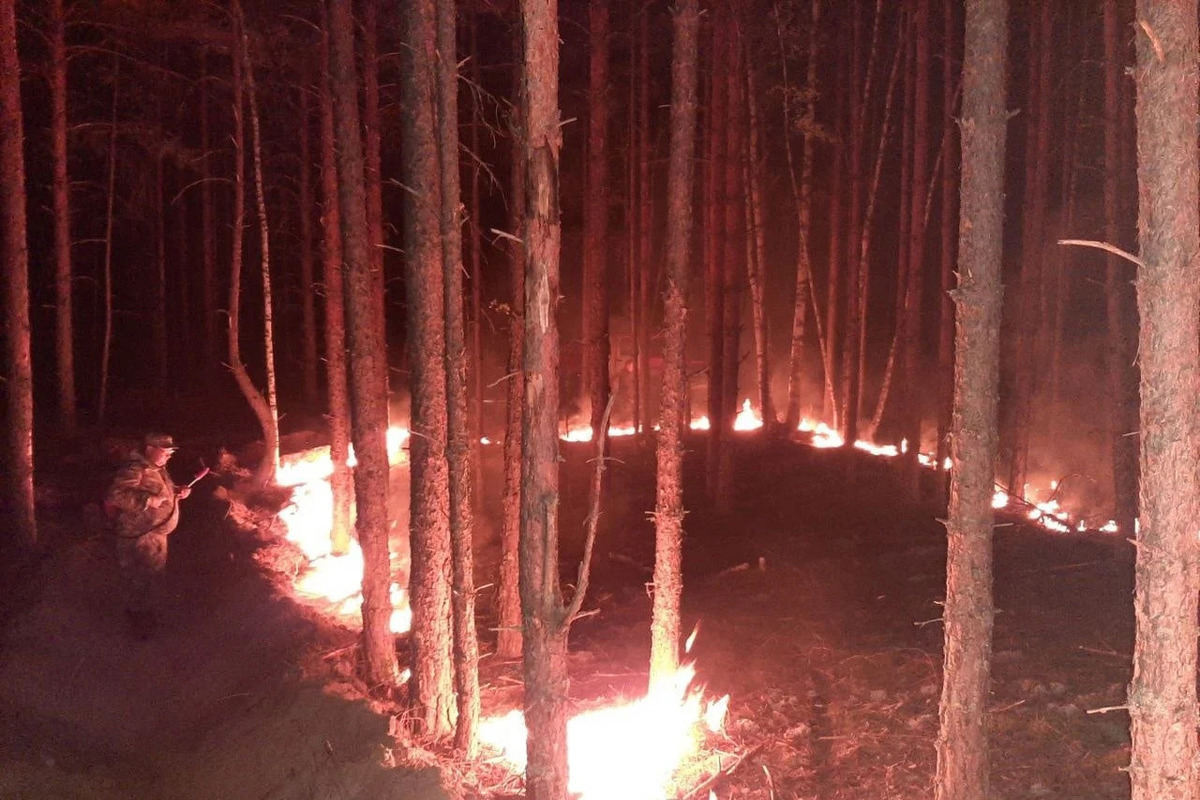 Лесной пожар Эстетика