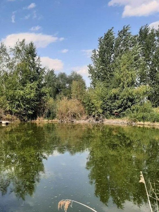 Ученый объяснил покраснение воды в озере Казани