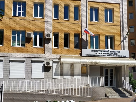 Следком и прокуратура начали проверку факта падения ребёнка с турника в Чите