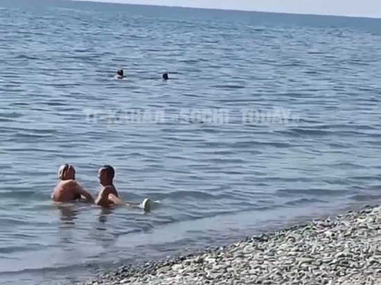 В Сочи любовники занялись сексом на пляже перед отдыхающими. скриншот видео...