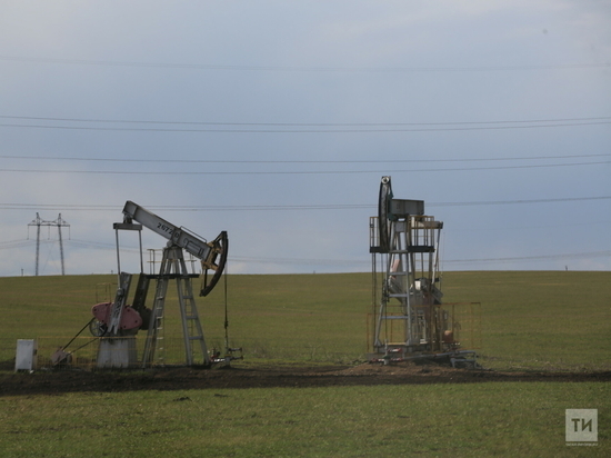 Татарстанские экологи исследовали почву на месте разлива нефтепродуктов в Нижнекамске