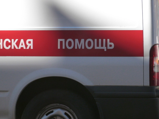 Новые «скорые» и школьные автобусы поступят в Мурманскую область